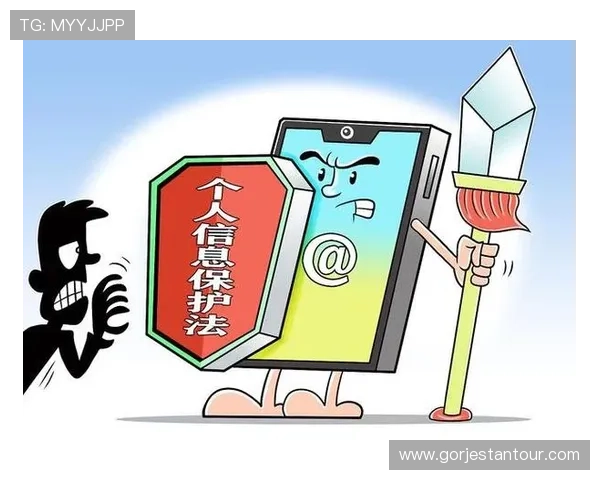 开云在线登录官方网入口官方平台安全性分析与用户隐私保护措施详解