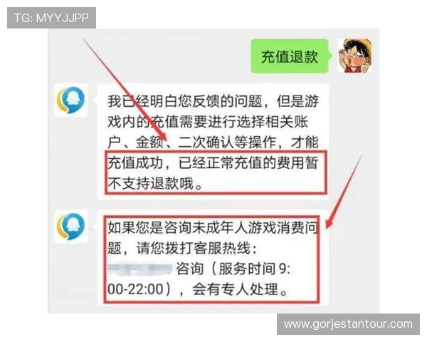 在云开官方网站进行游戏充值的多种支付方式及安全保障措施